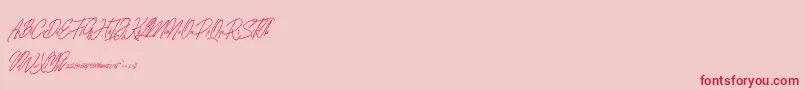 Blarrack Personal Use Font – Red Fonts on Pink Background