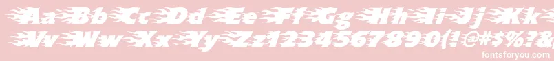 Blazed Font – White Fonts on Pink Background