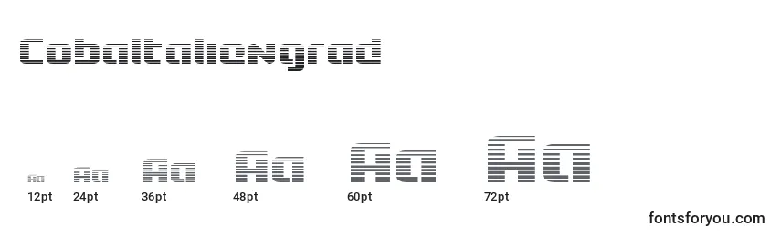 Размеры шрифта Cobaltaliengrad