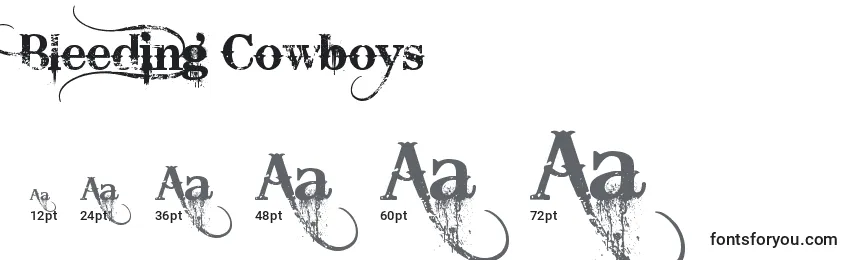 Размеры шрифта Bleeding Cowboys