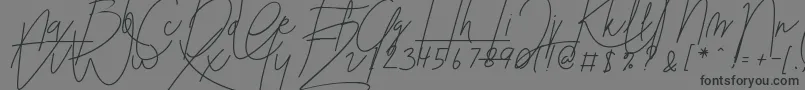 Blenheim Signature v2 Font – Black Fonts on Gray Background