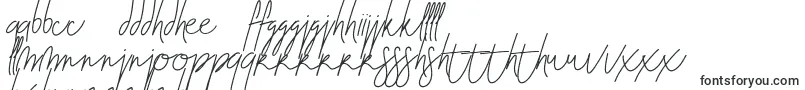 Шрифт Blenheim Signature v2 – ньянджа шрифты