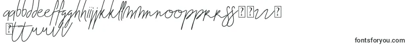 Blenheim Signature v2 Font – Estonian Fonts
