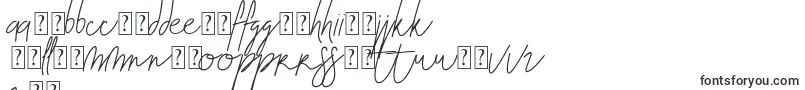 Blenheim Signature v2 Font – Latvian Fonts