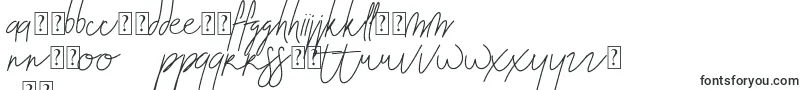 Blenheim Signature v2 Font – Polish Fonts