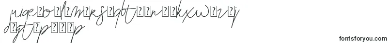 Czcionka Blenheim Signature v2 – amharskie czcionki