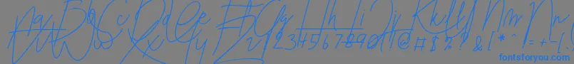 Blenheim Signature v2 Font – Blue Fonts on Gray Background