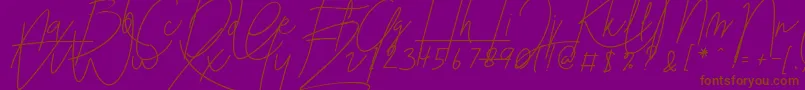 Blenheim Signature v2 Font – Brown Fonts on Purple Background