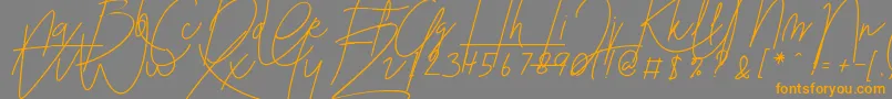 Blenheim Signature v2 Font – Orange Fonts on Gray Background