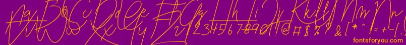 Blenheim Signature v2 Font – Orange Fonts on Purple Background