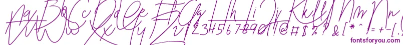 Blenheim Signature v2 Font – Purple Fonts