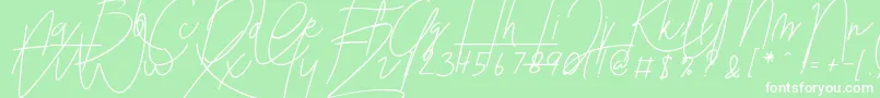 Blenheim Signature v2 Font – White Fonts on Green Background