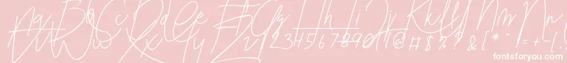 Blenheim Signature v2 Font – White Fonts on Pink Background