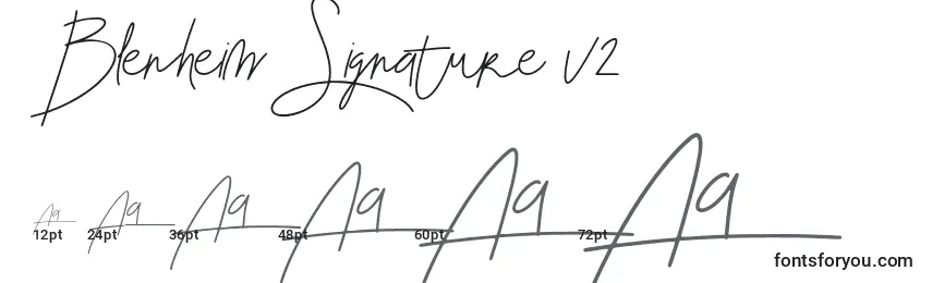 Blenheim Signature v2 Font Sizes