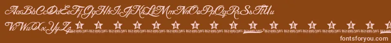 BLESD     Font – Pink Fonts on Brown Background