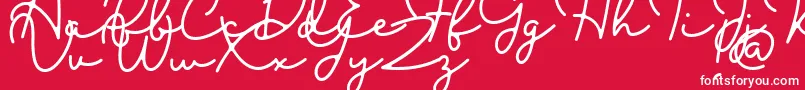 Blesson Font – White Fonts on Red Background