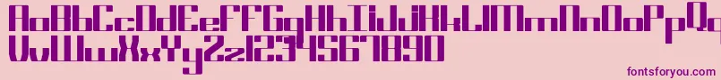 Block17 Bold Font – Purple Fonts on Pink Background