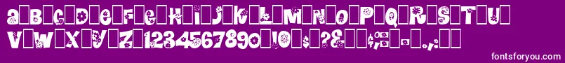 Blomster Font – White Fonts on Purple Background