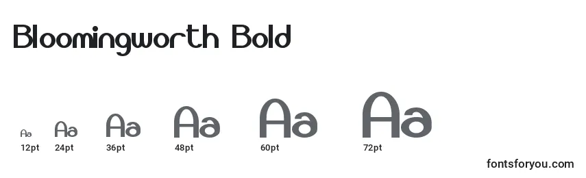 Bloomingworth Bold Font Sizes