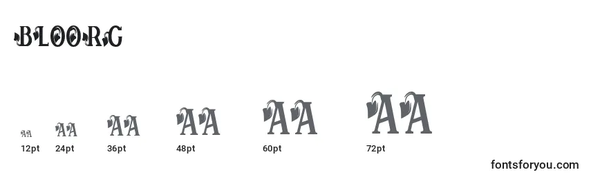Размеры шрифта BLOORG   (121662)