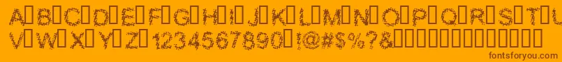 BLOOS    Font – Brown Fonts on Orange Background