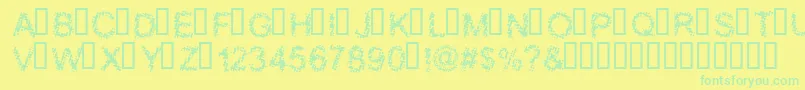 BLOOS    Font – Green Fonts on Yellow Background