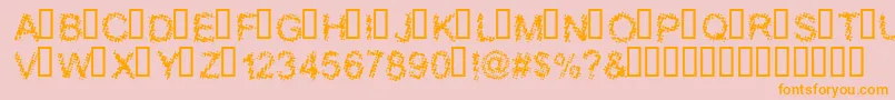 フォントBLOOS    – オレンジの文字がピンクの背景にあります。