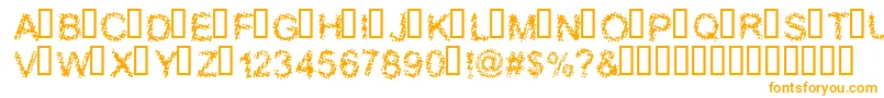 BLOOS   -Schriftart – Orangefarbene Schriften auf weißem Hintergrund