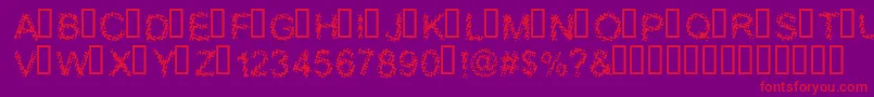 BLOOS    Font – Red Fonts on Purple Background
