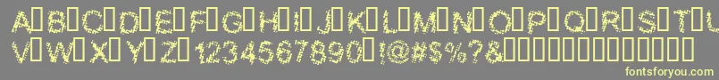 BLOOS   -Schriftart – Gelbe Schriften auf grauem Hintergrund