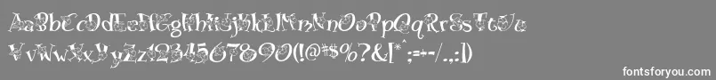 Blossom Font – White Fonts on Gray Background