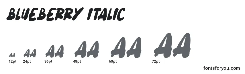Размеры шрифта Blueberry Italic
