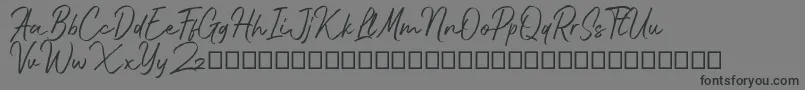 Bluehill Font – Black Fonts on Gray Background