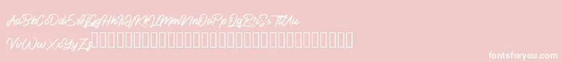 BlueKing Font – White Fonts on Pink Background