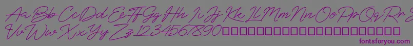 BlueSign-fontti – violetit fontit harmaalla taustalla