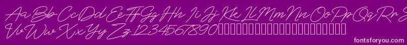 BlueSign Font – Pink Fonts on Purple Background