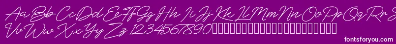 BlueSign Font – White Fonts on Purple Background