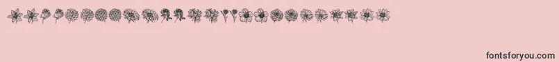 Blumen-Schriftart – Schwarze Schriften auf rosa Hintergrund