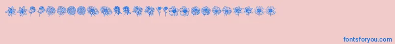 fuente Blumen – Fuentes Azules Sobre Fondo Rosa