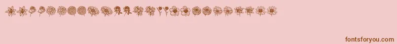 Шрифт Blumen – коричневые шрифты на розовом фоне