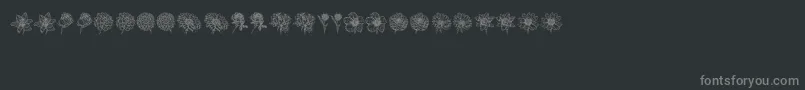 Blumen Font – Gray Fonts on Black Background