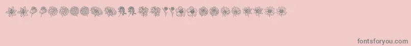 Шрифт Blumen – серые шрифты на розовом фоне