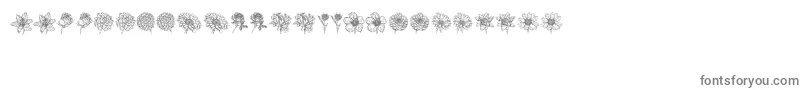 Blumen-fontti – harmaat kirjasimet valkoisella taustalla