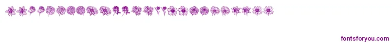 フォントBlumen – 白い背景に紫のフォント