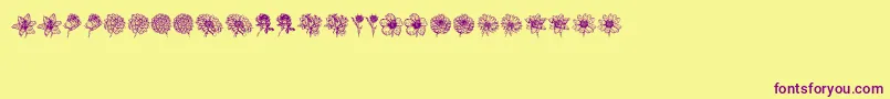 Czcionka Blumen – fioletowe czcionki na żółtym tle