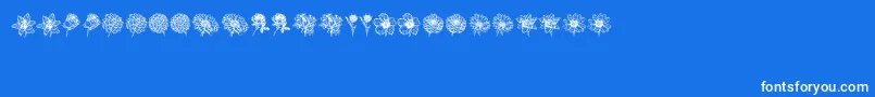フォントBlumen – 青い背景に白い文字