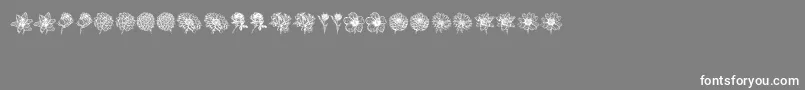 Blumen-Schriftart – Weiße Schriften auf grauem Hintergrund
