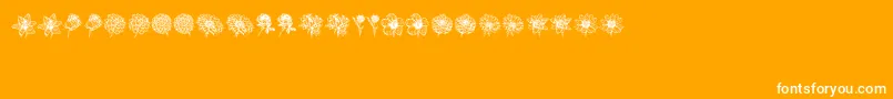 Blumen Font – White Fonts on Orange Background