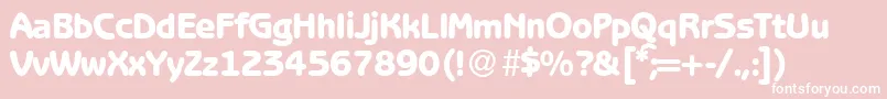 B691SansHeavyRegular Font – White Fonts on Pink Background