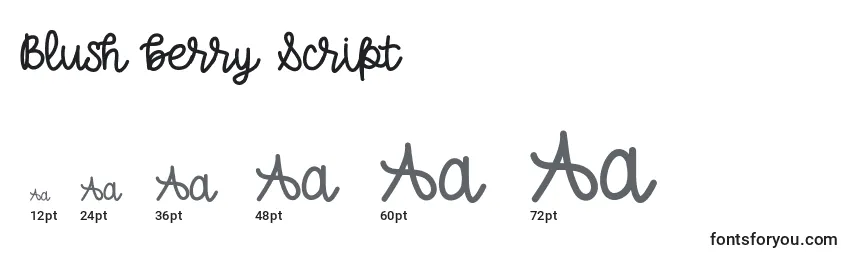 Blush berry Script Font Sizes